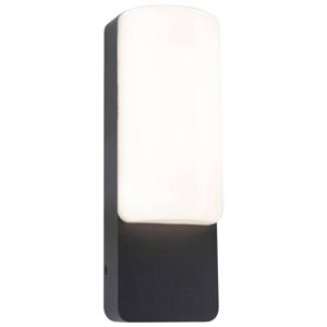 Paulmann Bonnie 94850 LED-buitenlamp (wand) LED 8.5 W Antraciet