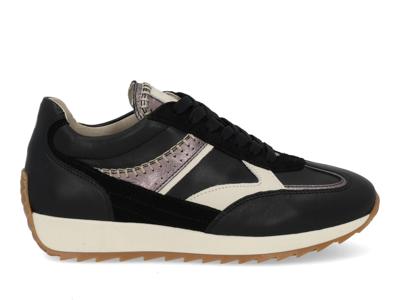 Piedi Nudi Harlem 02.03 black creme Zwart maat 42