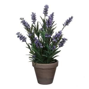 Mica Decorations Lavendel Kunstplant - H33 x Ø20 cm - Blauw