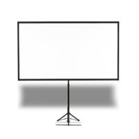 Epson Scherm op voet incl. 1 dag huur