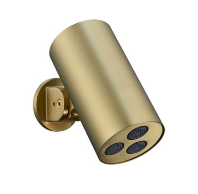 Hoofddouche BWS Sensa Cilinder Muur Geborsteld Goud PVD Hoofddouche BWS Sensa Cilinder Muur Geborsteld Goud PVD