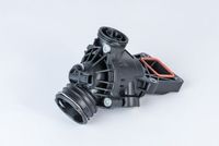 Thermostaat 410390103D