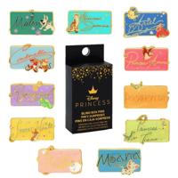 Disney Princess by Loungefly Enamel Pins Blind Box Signature Display (22)