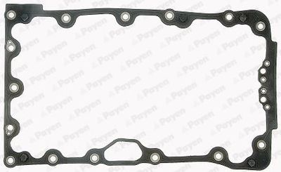 Pakking, Carter JH5012