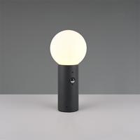Trio Bol tuinlamp 40cmMures antraciet met sensor - 569869142