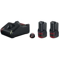 Basic Set 2 GBA 12V 2.0Ah + GAL 12V -40 Batterijen in kartonnen doos - Bosch - 1600A019R8