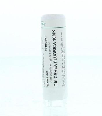 Homeoden Heel Calcarea fluorica 10MK 6 Gram