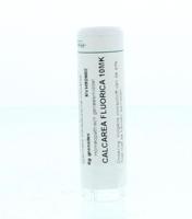 Homeoden Heel Calcarea fluorica 10MK 6 Gram