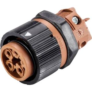 Wieland 46.051.5050.4 Ronde connector Bus, inbouw Totaal aantal polen: 5 Serie (ronde connectors): RST® MINI 1 stuk(s)