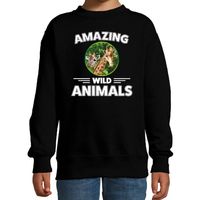 Sweater giraffen amazing wild animals / dieren trui zwart voor kinderen