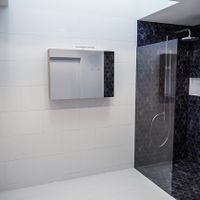 Spiegelkast Vico Cube | 100x70 cm | 2 Deuren | Zonder verlichting | Eiken