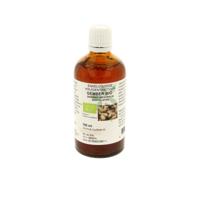 Natura Sanat Zingiber officinalis rhiz/gember tinctuur bio