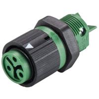 Wieland 46.031.5055.7 Ronde connector Bus, inbouw Totaal aantal polen: 2 + PE Serie (ronde connectoren): RST® MINI 1 stuk(s)