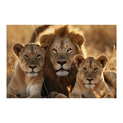 Glasschilderij - Leeuwen Familie - 120 x 80 cm Glasschilderij - Leeuwen Familie - 120 x 80 cm