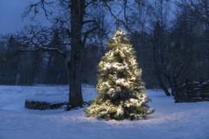 Konstsmide LED kerstverlichting cluster met geheugenfunctie - 5,8 meter