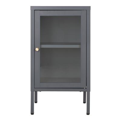 Robinson - kast - grijs - staal en glas - 80x40x180 cm