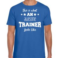 Cadeau t-shirt voor heren - awesome trainer - trainers bedankje - blauw - thumbnail