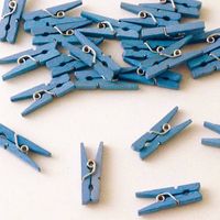 Mini knijpers hout blauw 24 stuks - thumbnail