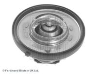 Blue Print Thermostaat ADA109203 - thumbnail