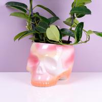 Skull plant pot - pink gradient