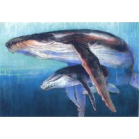 Ansichtkaart Walvis met Jong - Loes Botman (Set van 5) - thumbnail