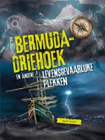 De Bermudadriehoek en andere gevaarlijke plekken (Hardback)