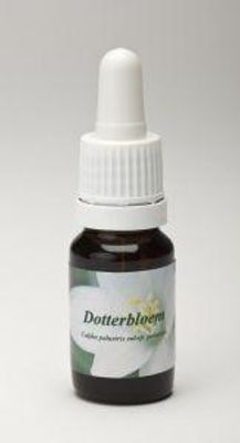 Dotterbloem