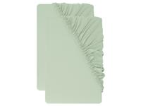 LIVARNO Set van 2 jersey hoeslakens 140-160 x 200 cm (Groen)
