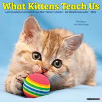 What Kittens Teach Us Kalender 2026