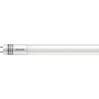 Philips LED LED-buis-Buis Energielabel: E (A - G) G13 T8 23 W Neutraalwit 1 stuk(s) (Ø x l) 28 mm x 1514 mm Elektronisch voorschakelapparaat, Conventioneel