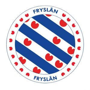 Friesland vlag print bierviltjes