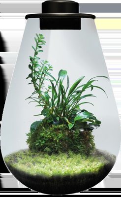 BioArt Drop 285 zwart