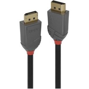 Lindy 36486 DisplayPort kabel 10 m Zwart