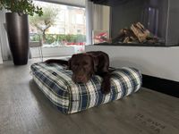 Dog's Companion® Hondenbed dress gordon extra small Dog's Companion® Hondenbed dress gordon extra small