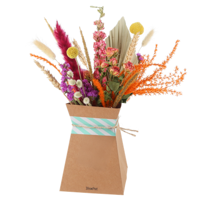 Droogbloemen boeket incl. vouwvaas