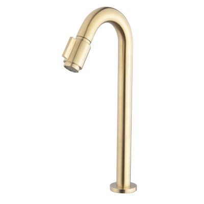 Fonteinkraan Wiesbaden Victoria XL | Opbouw | Koudwater kraan | Standaard model | 1-hendel | Rond | Geborsteld messing PVD
