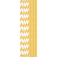 Duni Papieren Rietjes 25 Stuks Goud/Wit