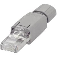 WAGO RJ45-connector IP20 - CAT5e 750-975 Stekker, recht Aantal polen: 8P8C Grijs 1 stuk(s) - thumbnail