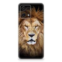 OPPO Reno7 4G | TPU Hoesje | Leeuw