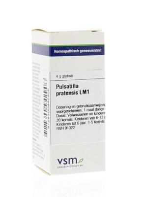 VSM Pulsatilla pratensis LM1 4 Gram