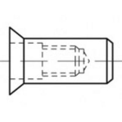 TOOLCRAFT TO-5444313 Popmoer M8 Staal 250 stuk(s)