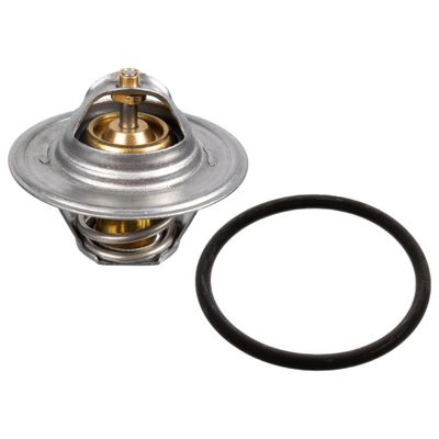 Thermostaat 18286