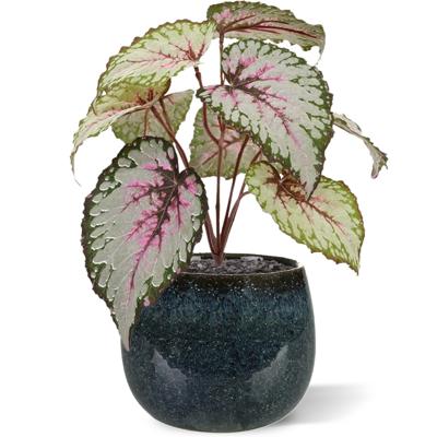 Bladbegonia kunstplant 25cm