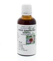 Natura Sanat Echinacea purpurea wortel tinctuur