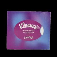 Collection tissues 48 Stuks