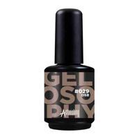 Astonishing Nails Gelosophy #029 DSB 15ml