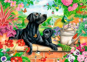 Labrador Retriever Puzzel 1000 Stukjes