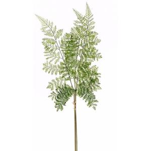 Groene varen/Dryopteris Remota plant nep tak 58 cm groen