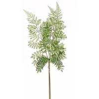 Groene varen/Dryopteris Remota plant nep tak 58 cm groen - thumbnail
