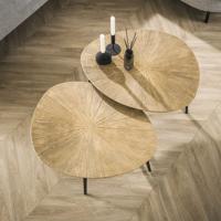 LifestyleFurn Organische Salontafel 'Miya' Ray Metal, Set van 2 stuks